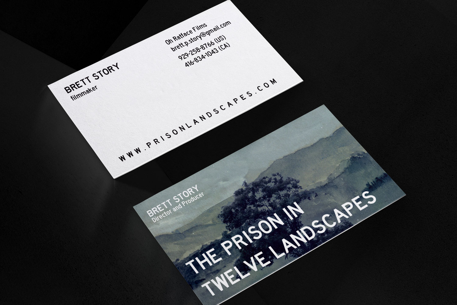 The Prison In Twelve Landscapes Business Cards